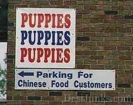 puppy-parking-funny-sign.jpg
