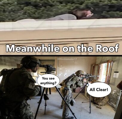 roof.jpg