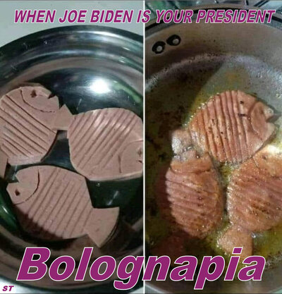 Bolognapia.jpg