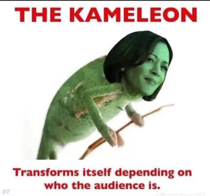 kamelion.jpg