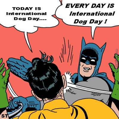 International Dog Day.jpg