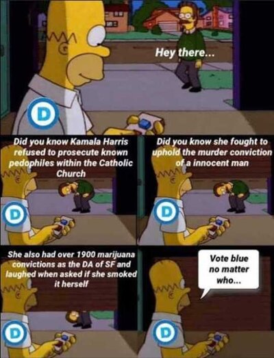 simpsons-democrats-kamala-harris-innocent-marijuana-convictions-vote-blue-no-matter-what-homer.jpg