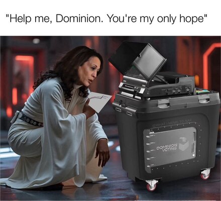 dom.jpg