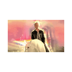 florida unicorn broker.gif florida unicorn broker.gif