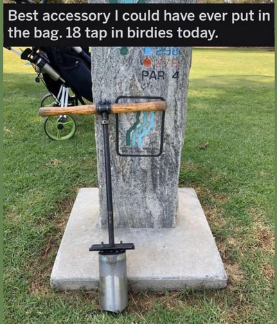 1741397938998.png