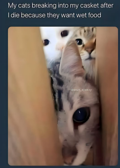 1745362629912.png