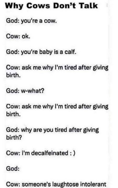 1747354505586.png