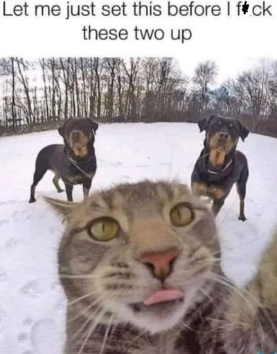 1748035467021.png