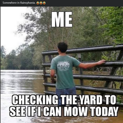 1748786084106.png