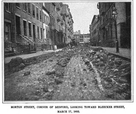 Horse Manure on City Street.jpg