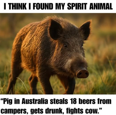 1751126656121.png