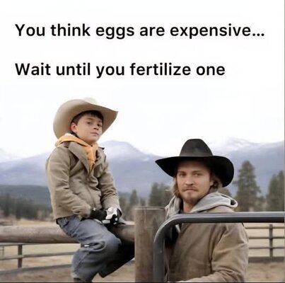 FB_IMG_1751912478303.jpg