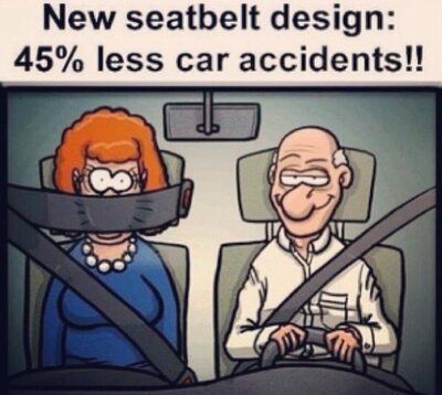 seat belt.jpg