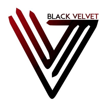 BV Logo.jpg