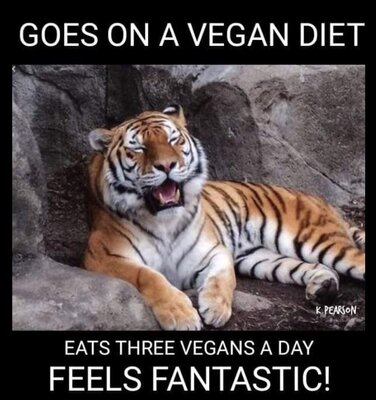 vegan diet.JPG