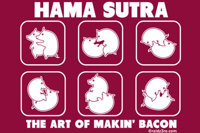 Hama Sutra.jpg