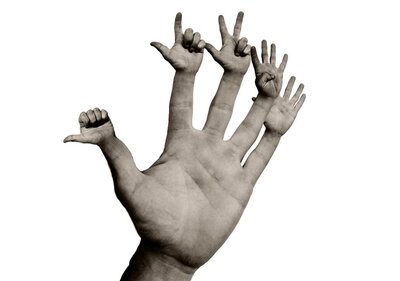 hands1.jpg.jpg