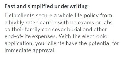 Fast and Simple Underwriting.JPG