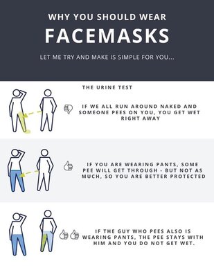Why You Should Wear Facemasks.jpg