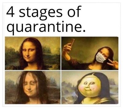 4-stages-of-quarantine-mona-lisa-meme.jpg