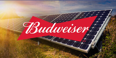 bud solar.jpg